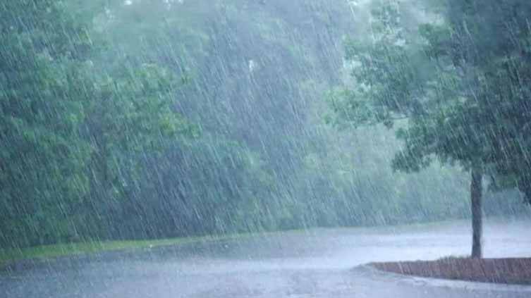 Heavy rain in Peshawar, suburbs continue