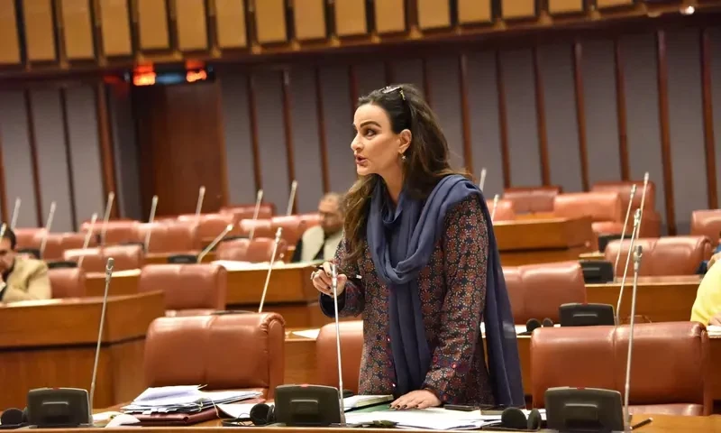 Senate unanimously passes resolution “unequivocally condemning” Sargodha, Swat mob lynchings