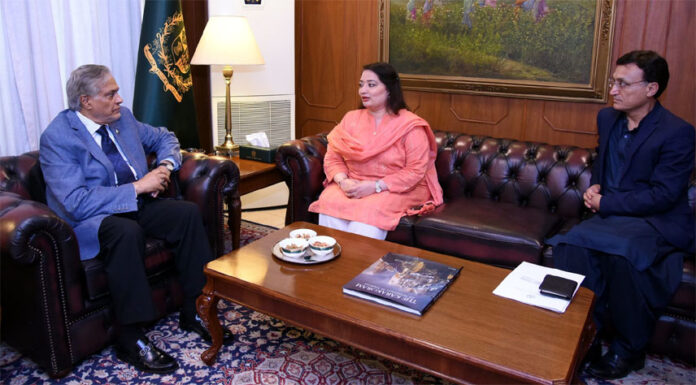 Romina Khurshid meets DPM Dar; discusses upcoming COP29 summit