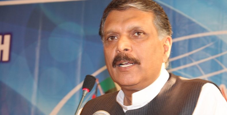 Newly elected Parliament to resolve national issues: Ijaz ul Haq