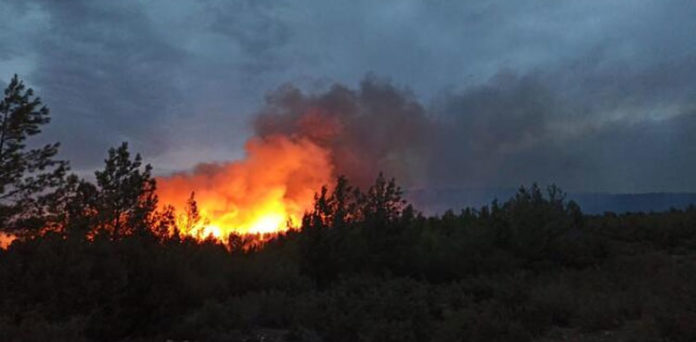 Barkhan wildfire extinguished