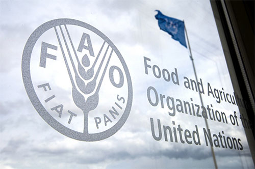 Pakistan participates int’l UN FAO conference to shape future of food security, regional food systems