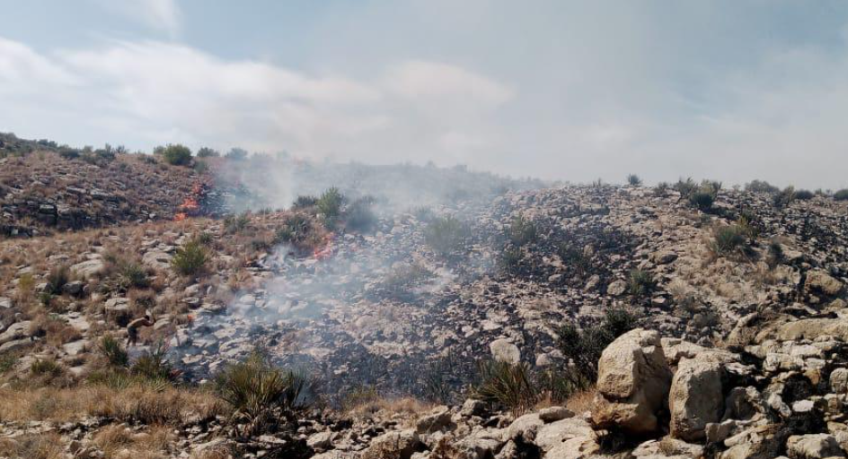 Forest fire containment efforts underway in Kho-e-Khandaran Area 