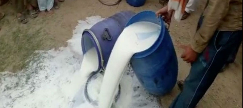 IFA discards 2000 liters sub-standard milk