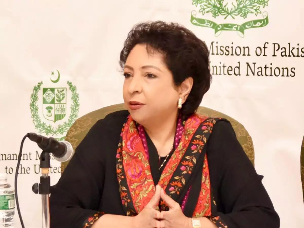 Voter turnout vital for strengthening democracy: Maleeha Lodhi