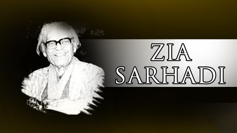 Renowned film director, screenwriter Zia Sarhadi remembered