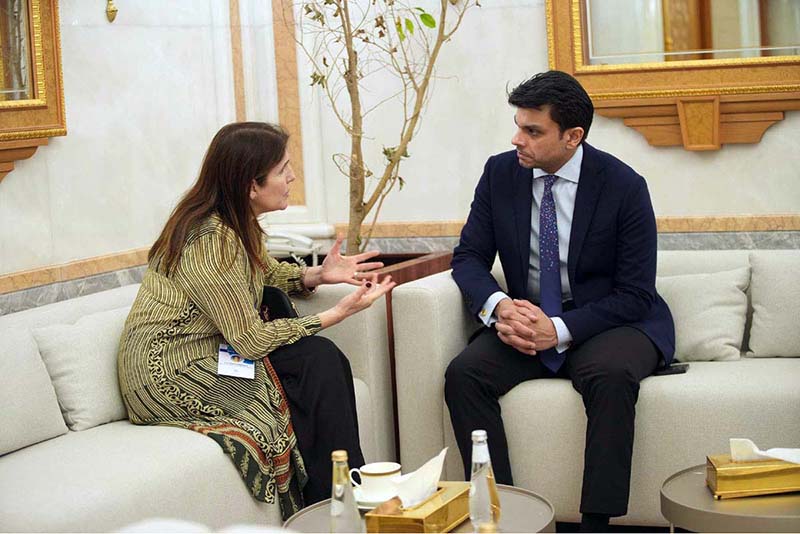 Jawad Sohrab Malik meets President ECOSOC in Riyadh