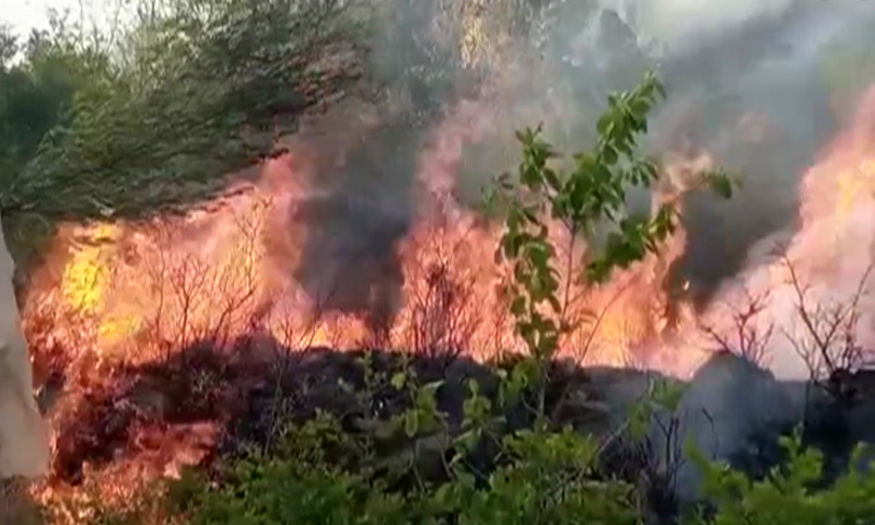 Fire on private land near Shahdara along MHNP extinguished