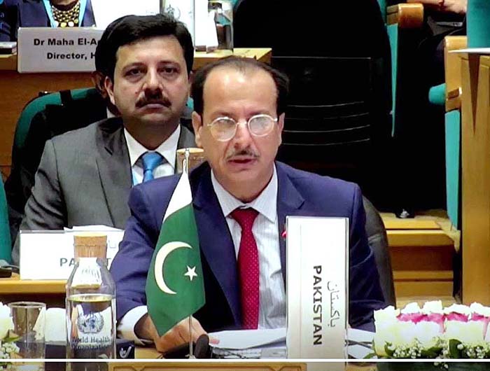 ‘Global Health Security Summit’ concludes successfully, projected positive image of Pakistan globally: Minister