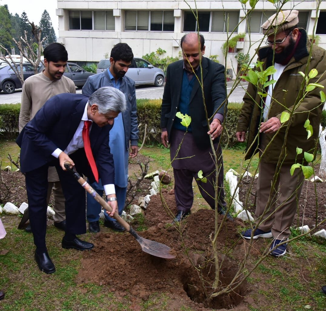 Solangi terms plantation of trees as national, moral duty