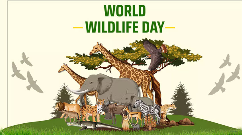 World Wildlife Day being observed across world, including Pakistan, today