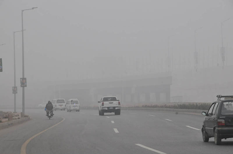 Dense fog patches cause transport havoc for capital’s residents