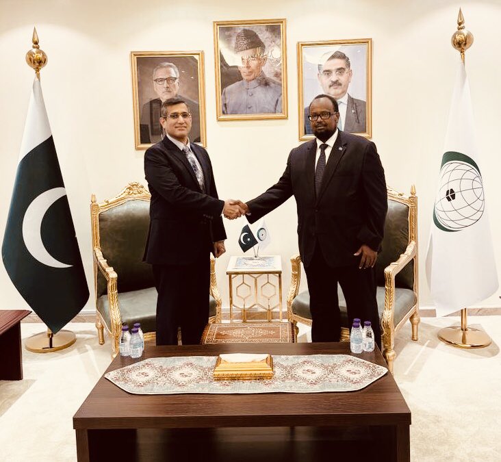 Pakistan, Somalia discuss increased coordination at OIC