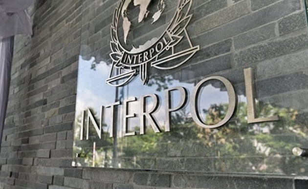 National Central Bureau (NCB) Interpol Pakistan issues Performance Report