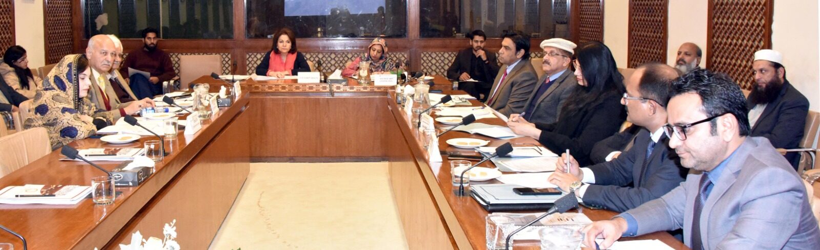 Senate body directs MoCC&EC to work out better strategy to curb smog