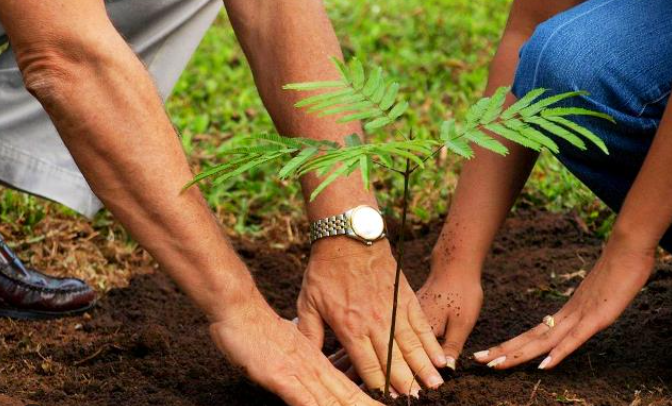 Samson’s inaugurates tree plantation drive on Int’l Forest Day