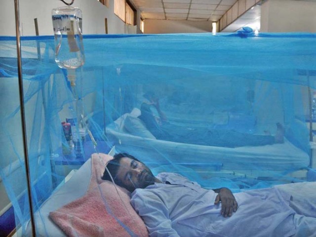 Dengue alarms ring loud in Punjab: 104 new cases in 24 hours, vigilance urged