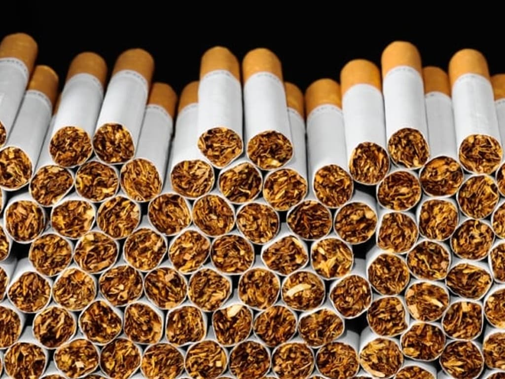 Fact sheet on newer nicotine, tobacco products unveiled in Peshawar