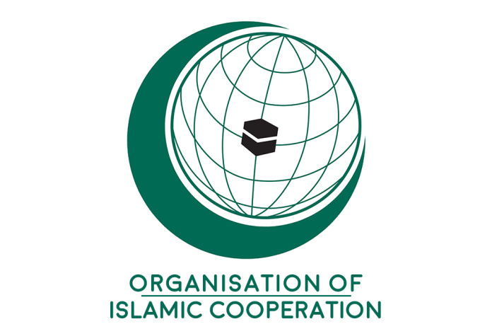 OIC’s special envoy asks India to reverse illegal change of Jammu & Kashmir’s status