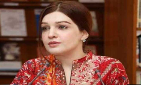 Mashal Malik urges world to hold India accountable for rights violations in Kashmir