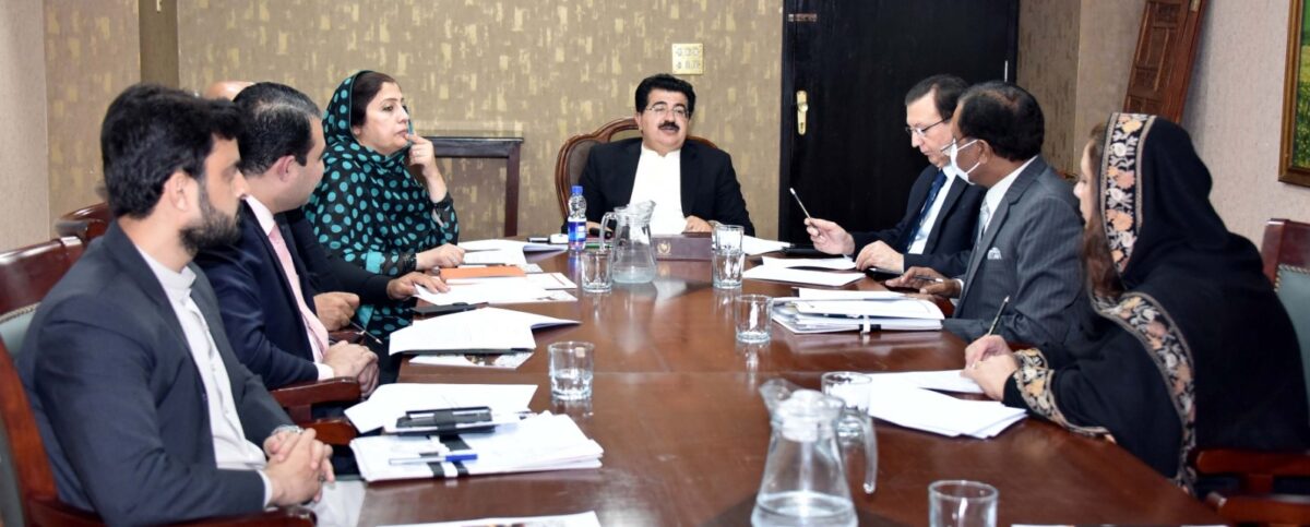 Sanjrani presides over meeting to assess IPC progress