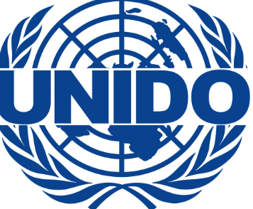 UNIDO celebrates women accomplishments in leather industry