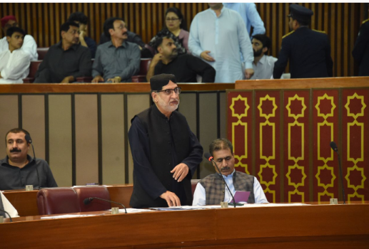 Lawmakers embrace nostalgia and vision in farewell session of National Assembly