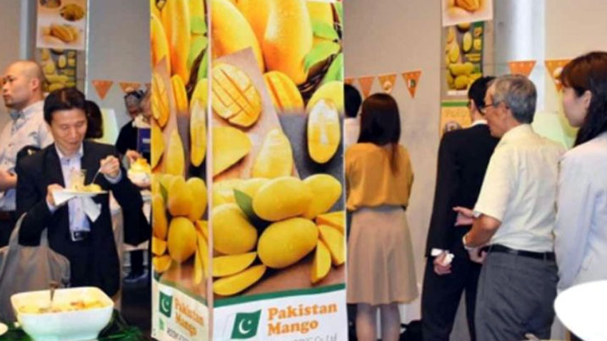 Pakistani mangoes become center of attraction at China-Eurasia expo in Urumqi