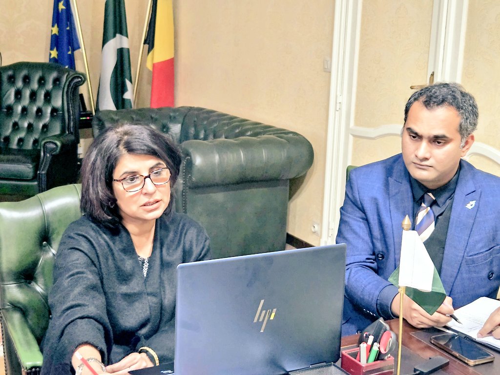 Pakistan embassy in Brussels holds virtual Khuli Kachehri