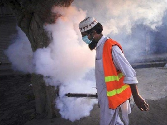 Islamabad Admin launches anti-dengue fumigation drive