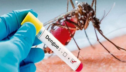 Another 143 dengue cases reported in Punjab